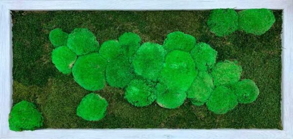 DIY Kit Moosbild "Wolke" – Bild 3
