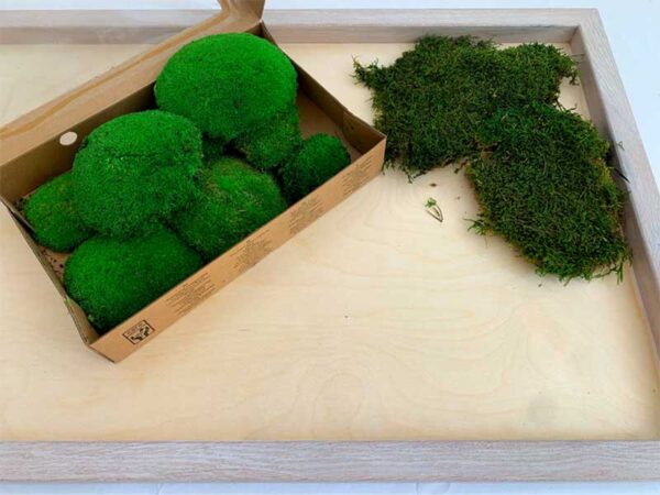 DIY Kit Moosbild "Wolke" – Bild 2
