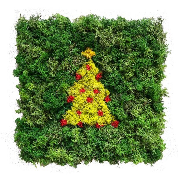 Let's moos! DIY-Kit Weihnachtsmotive aus Moos – Bild 7