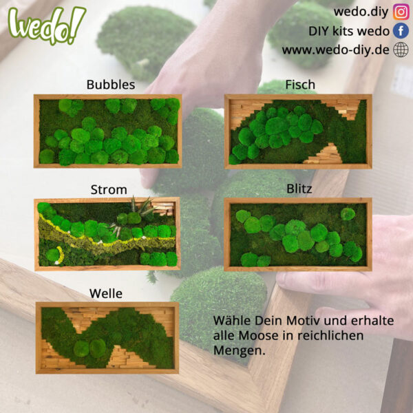 Moos Auswahl zum Moosbild selber machen (DIY-Kit) – Bild 2
