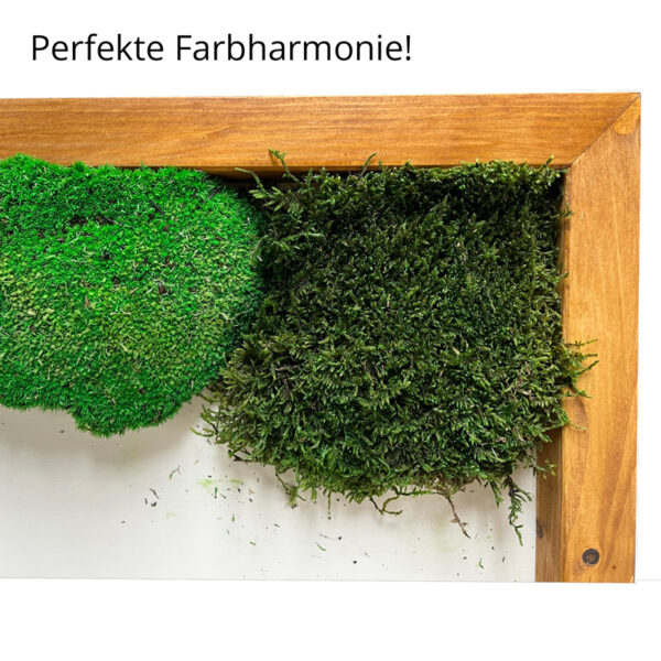 Rahmen für Moosbilder (DIY-Kit) – Bild 7