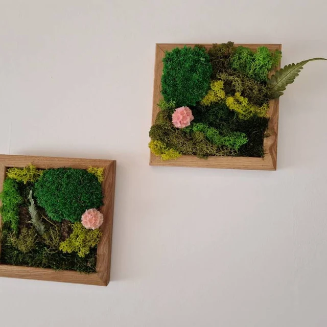 Moosbild mit schönen Blüten